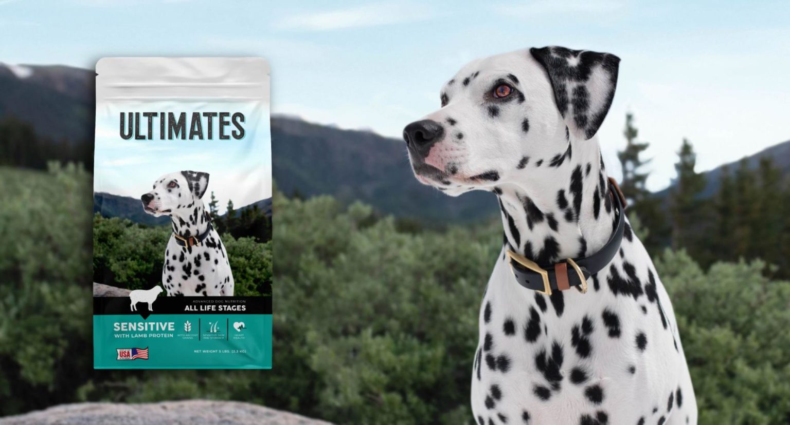 Introducing Sensitive Skin & Stomach Dog Food | Ultimates Pet Food