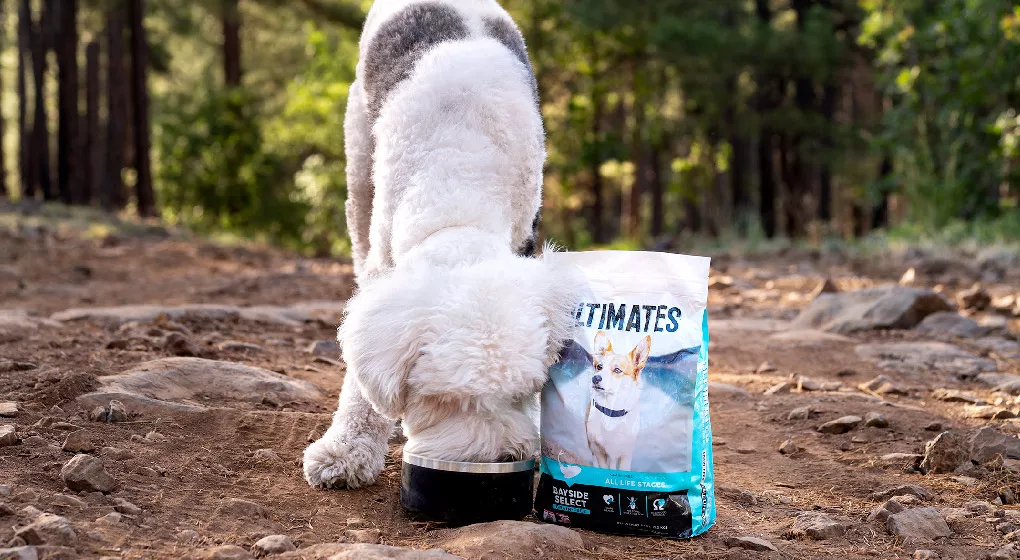 How Much Food Should I Feed My Dog Ultimates Advanced Pet 